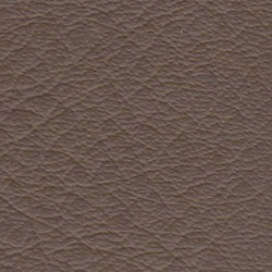Seta-9020-tartufo.jpg